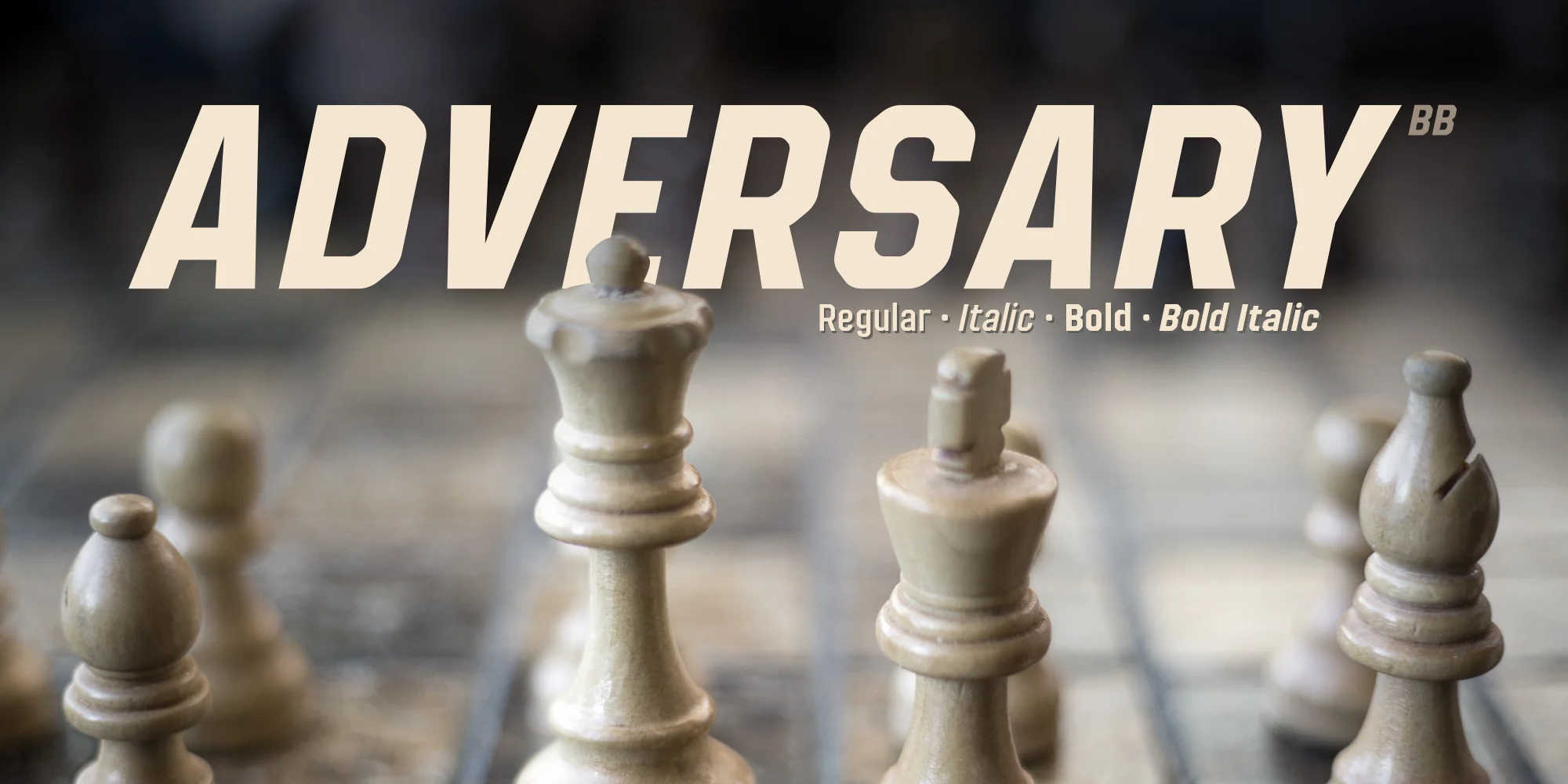 Adversary - Image 2